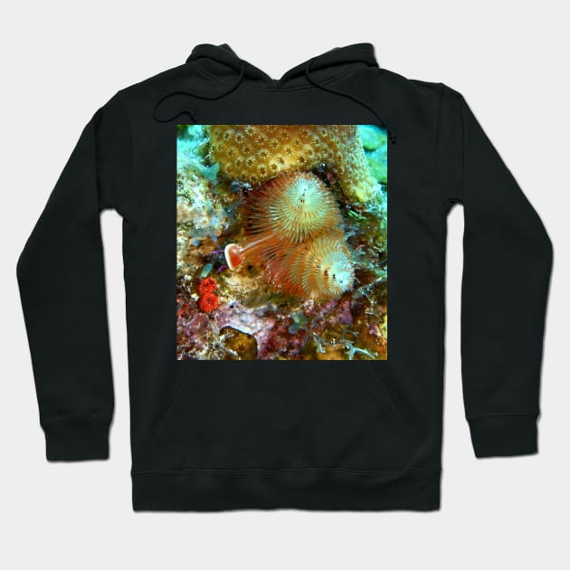 Christmas Tree Worm Hoodie by Scubagirlamy